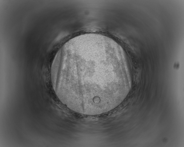 X0000102011446200808081713