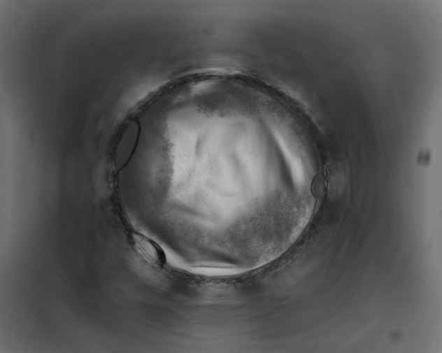 X0000102011448200808081713