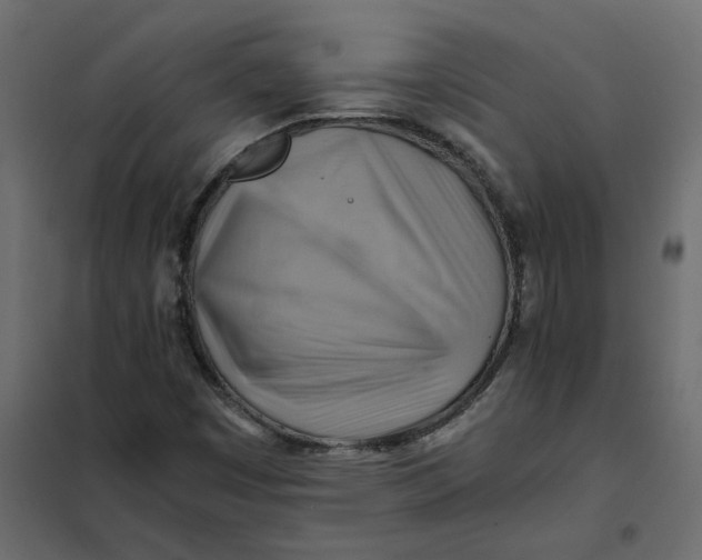 X0000102011449200808081713