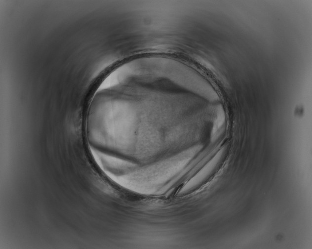 X0000102011450200808081713