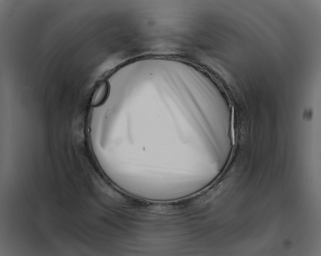 X0000102011451200808081713