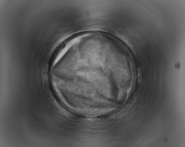 X0000102011452200808081713