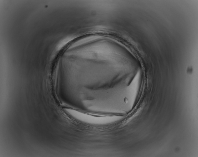 X0000102011453200808081713