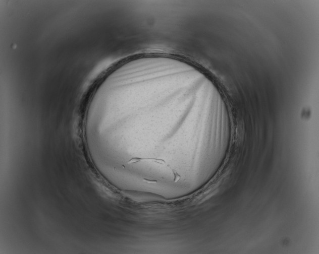 X0000102011454200808081713