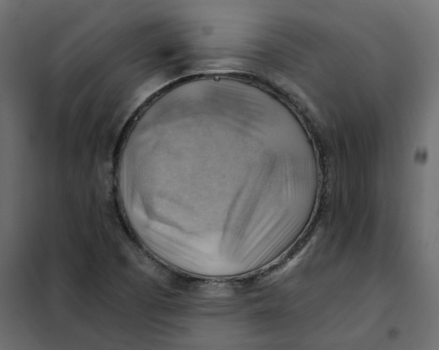 X0000102011457200808081713