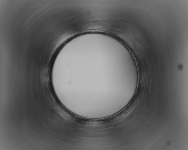 X0000102011458200808081713