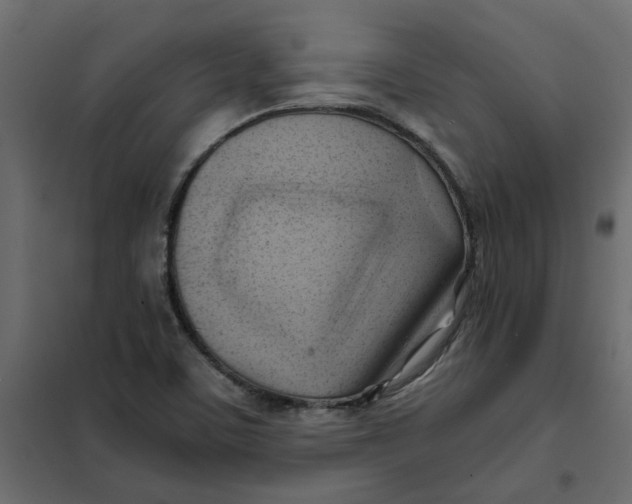 X0000102011459200808081713