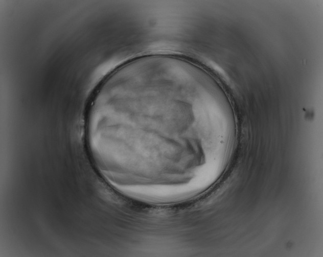 X0000102011461200808081713