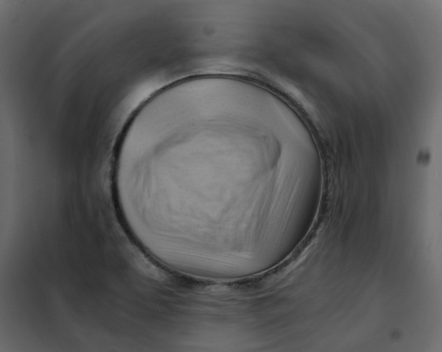 X0000102011463200808081712