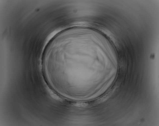 X0000102011466200808081712