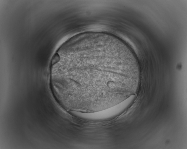 X0000102011467200808081712