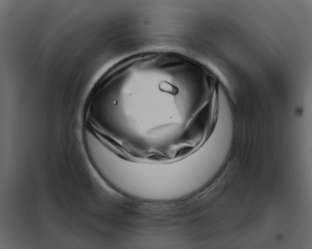 X0000102011468200808081712