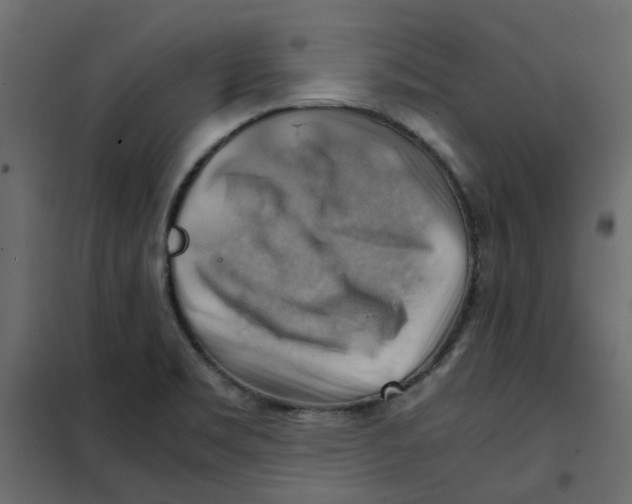 X0000102011469200808081712