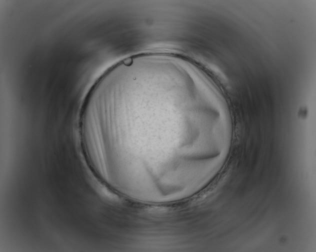 X0000102011470200808081712