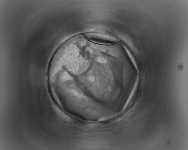 X0000102011471200808081712