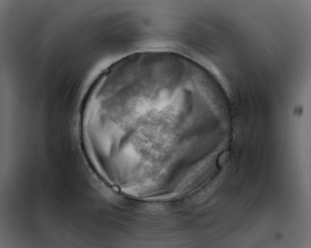 X0000102011472200808081712