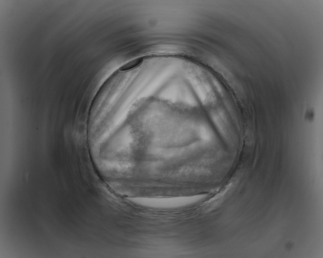 X0000102011473200808081712