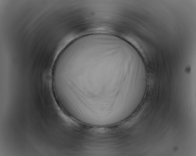 X0000102011474200808081712