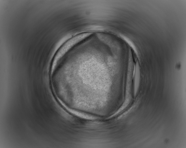 X0000102011475200808081712