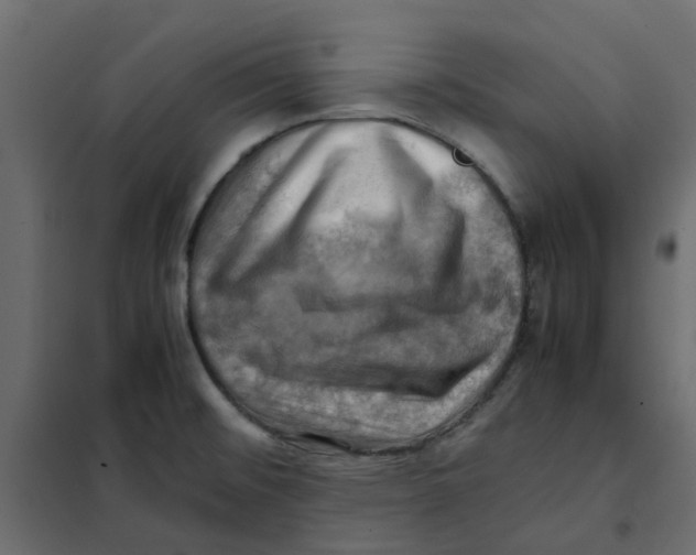 X0000102011476200808081712