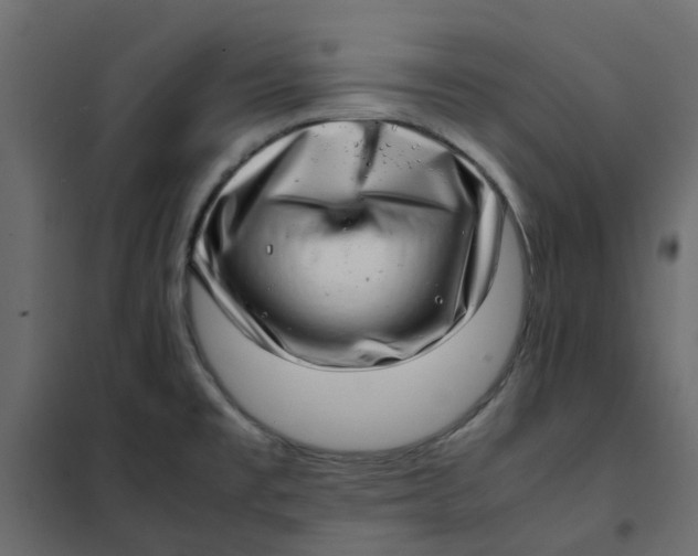 X0000102011477200808081712