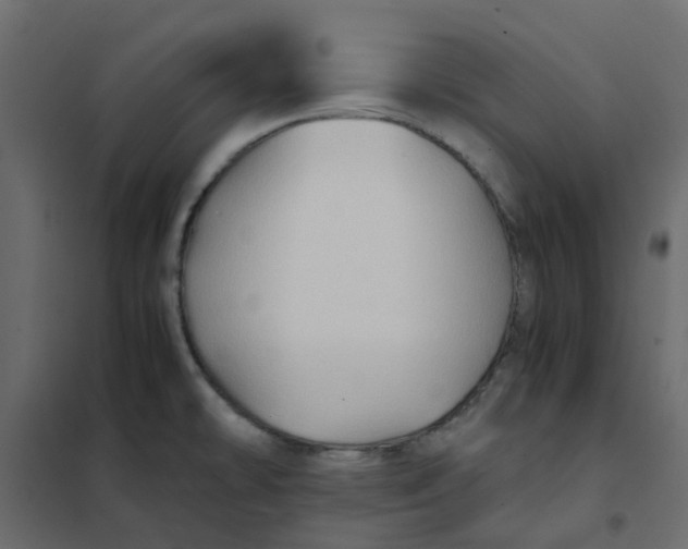 X0000102011478200808081712