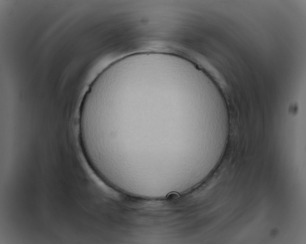 X0000102011479200808081712