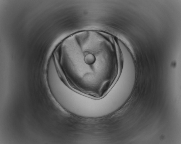 X0000102011480200808081712