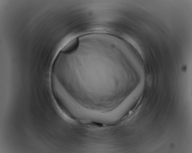 X0000102011482200808081712