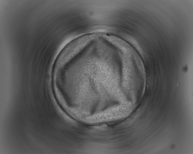 X0000102011483200808081712