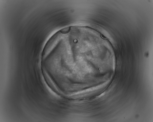 X0000102011484200808081712