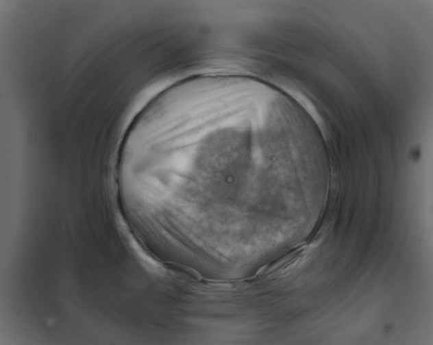 X0000102011485200808081712