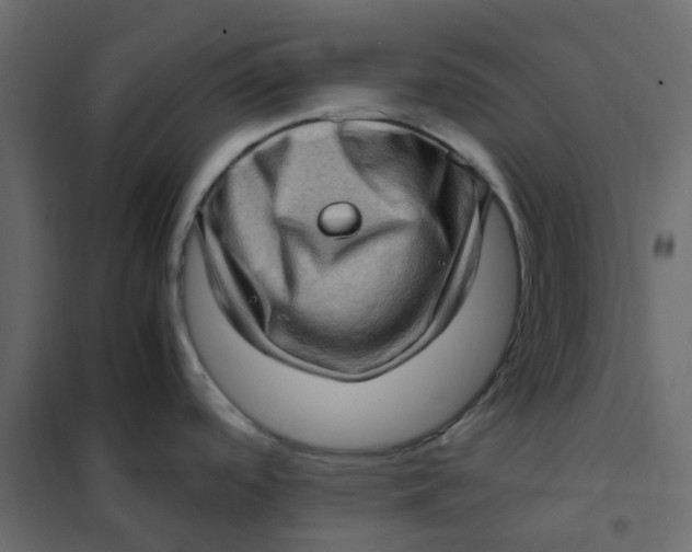 X0000102011488200808081712