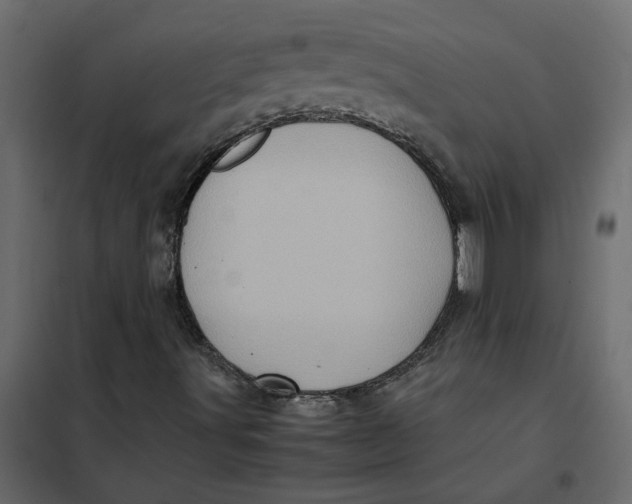 X0000102011491200808081711