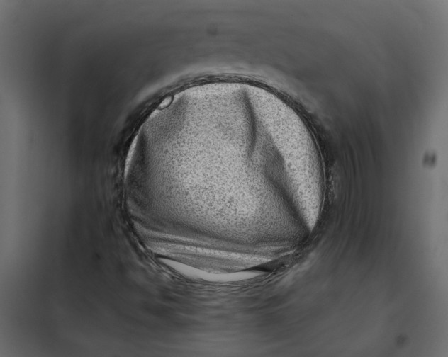 X0000102011494200808081711