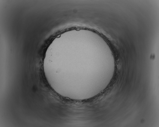 X0000102011495200808081711