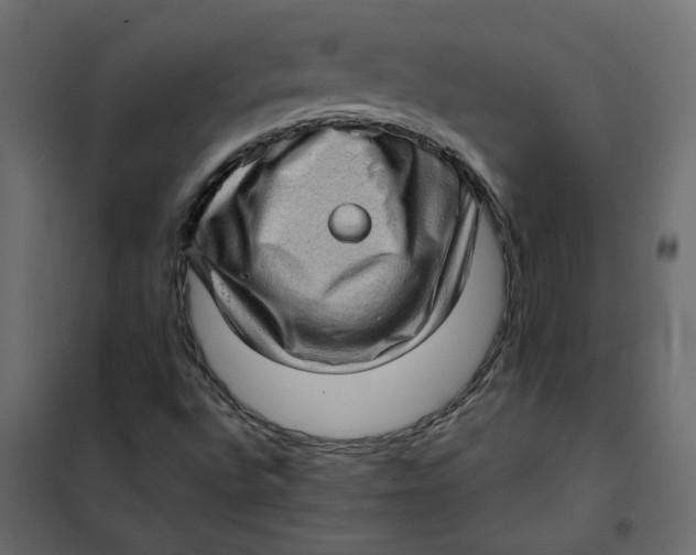 X0000102011496200808081711