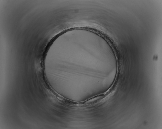 X0000102011497200808081711