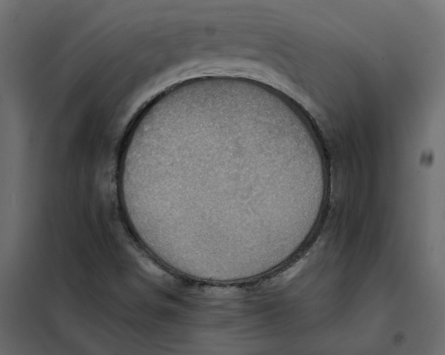 X0000102011498200808081711