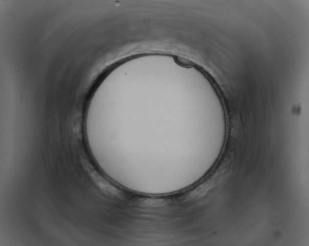 X0000102011499200808081712