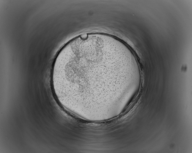 X0000102011500200808081712