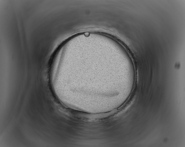 X0000102011501200808081712