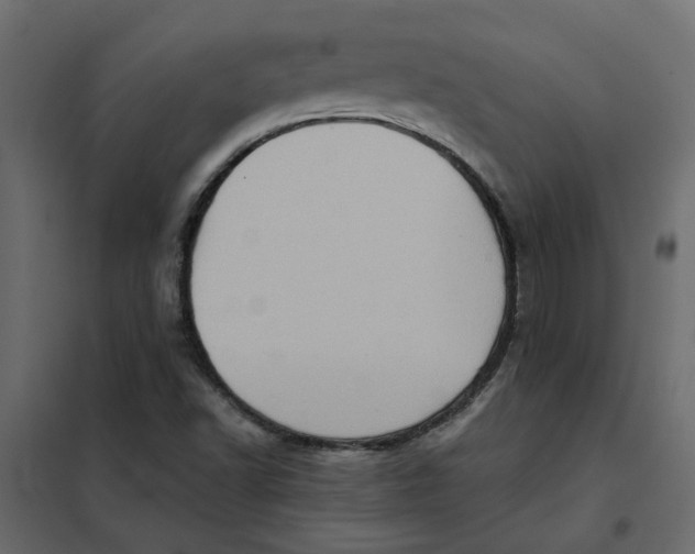 X0000102011502200808081712