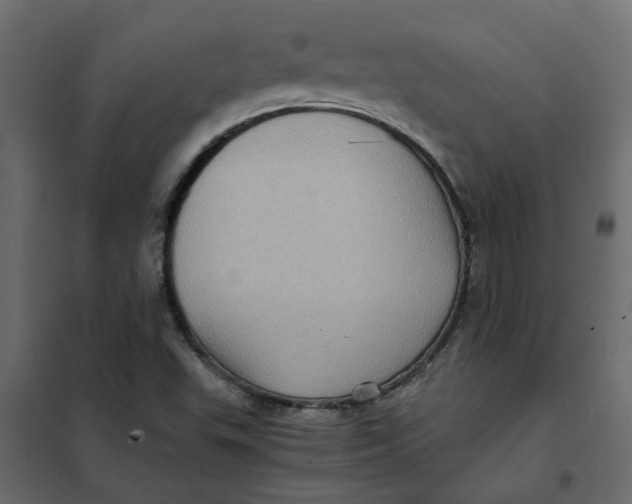 X0000102011503200808081712