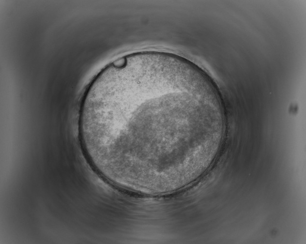 X0000102011504200808081712