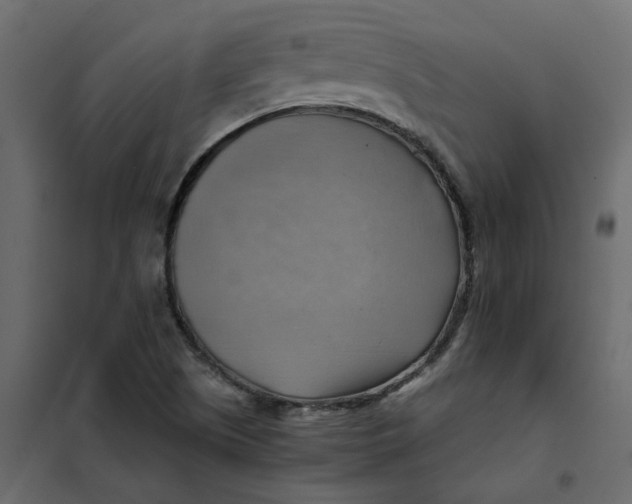 X0000102011505200808081712