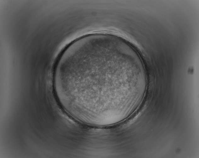 X0000102011506200808081712