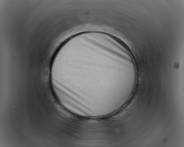 X0000102011507200808081712