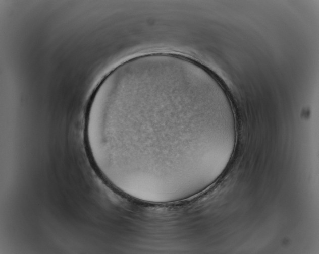 X0000102011508200808081712