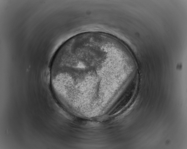 X0000102011509200808081712